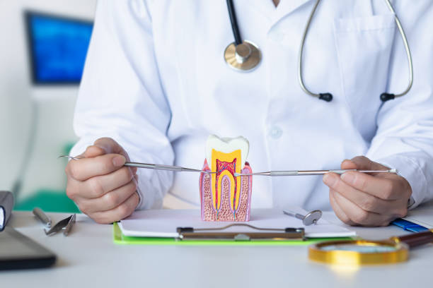 Best Emergency Treatment for Dental Infections or Abscesses in West Unity, OH